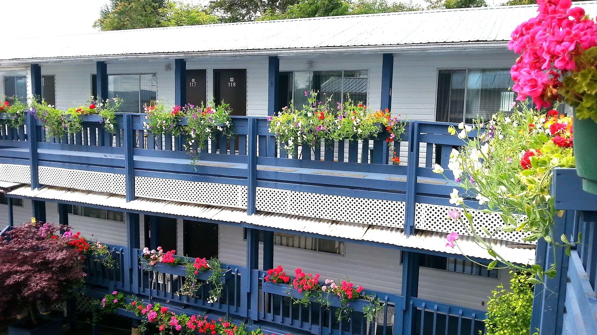 5 Hotels in Canada West Solo Travellers Should Know