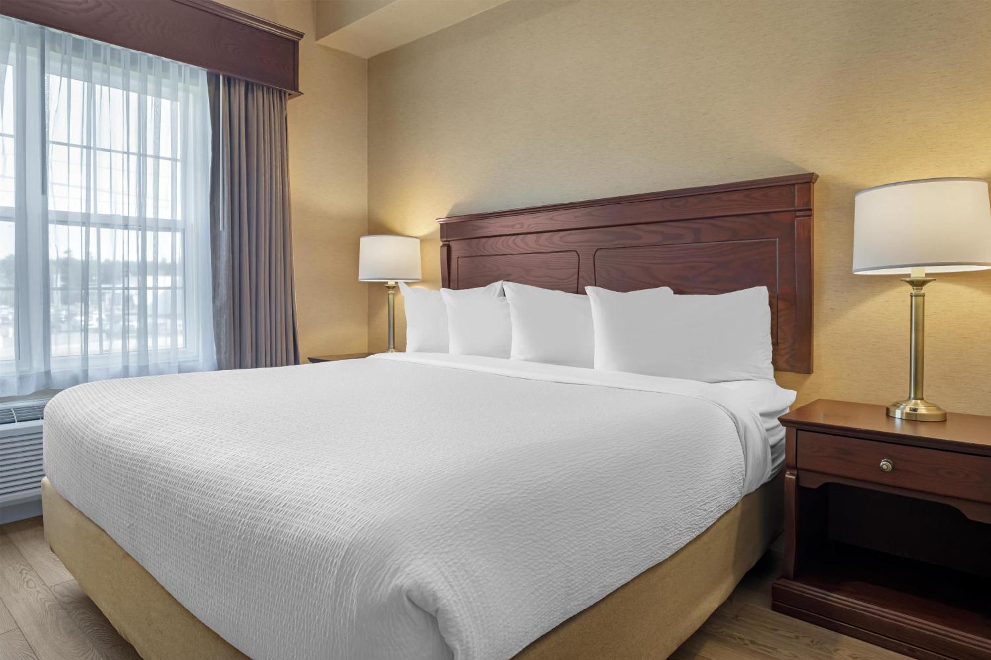 Where to Stay Near Lady Beaverbrook Arena: 4 Hotels Reviewed