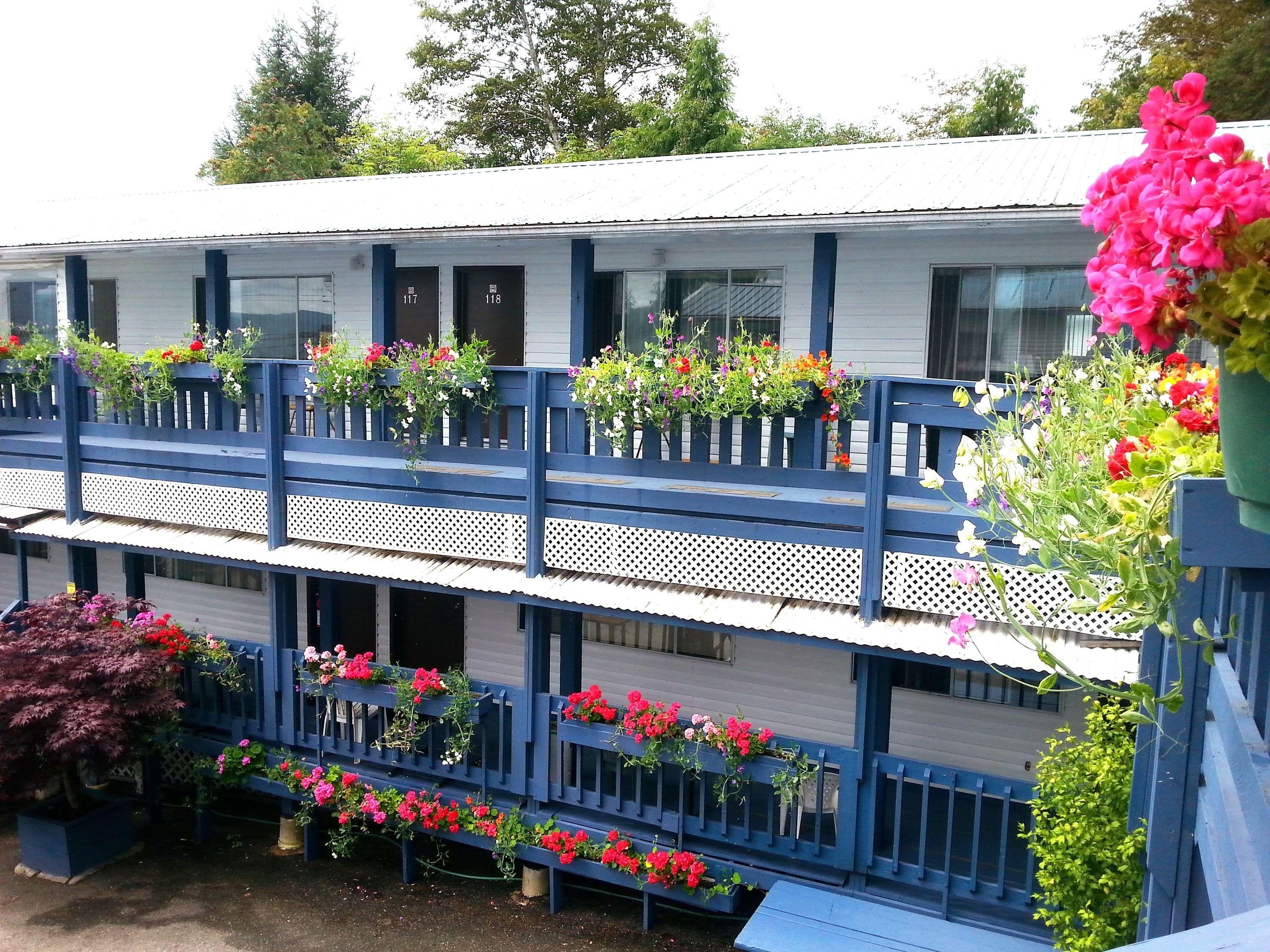 5 Hotels in Canada West Solo Travellers Should Know